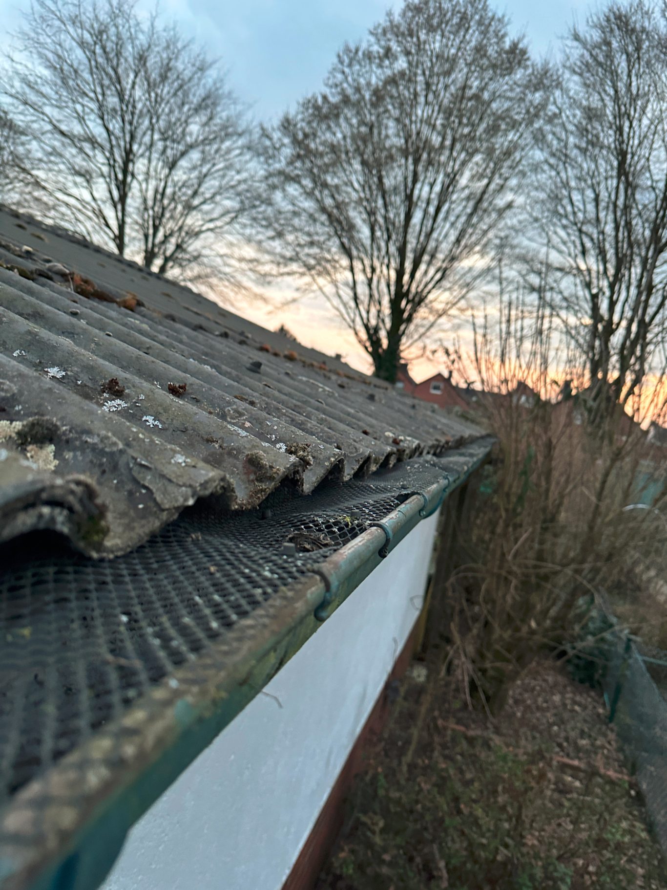 Gesäuberte Dachrinne eines Gartenhauses Dächer mit alten Ziegeln und Bäumen im Hintergrund bei Sonnenuntergang.