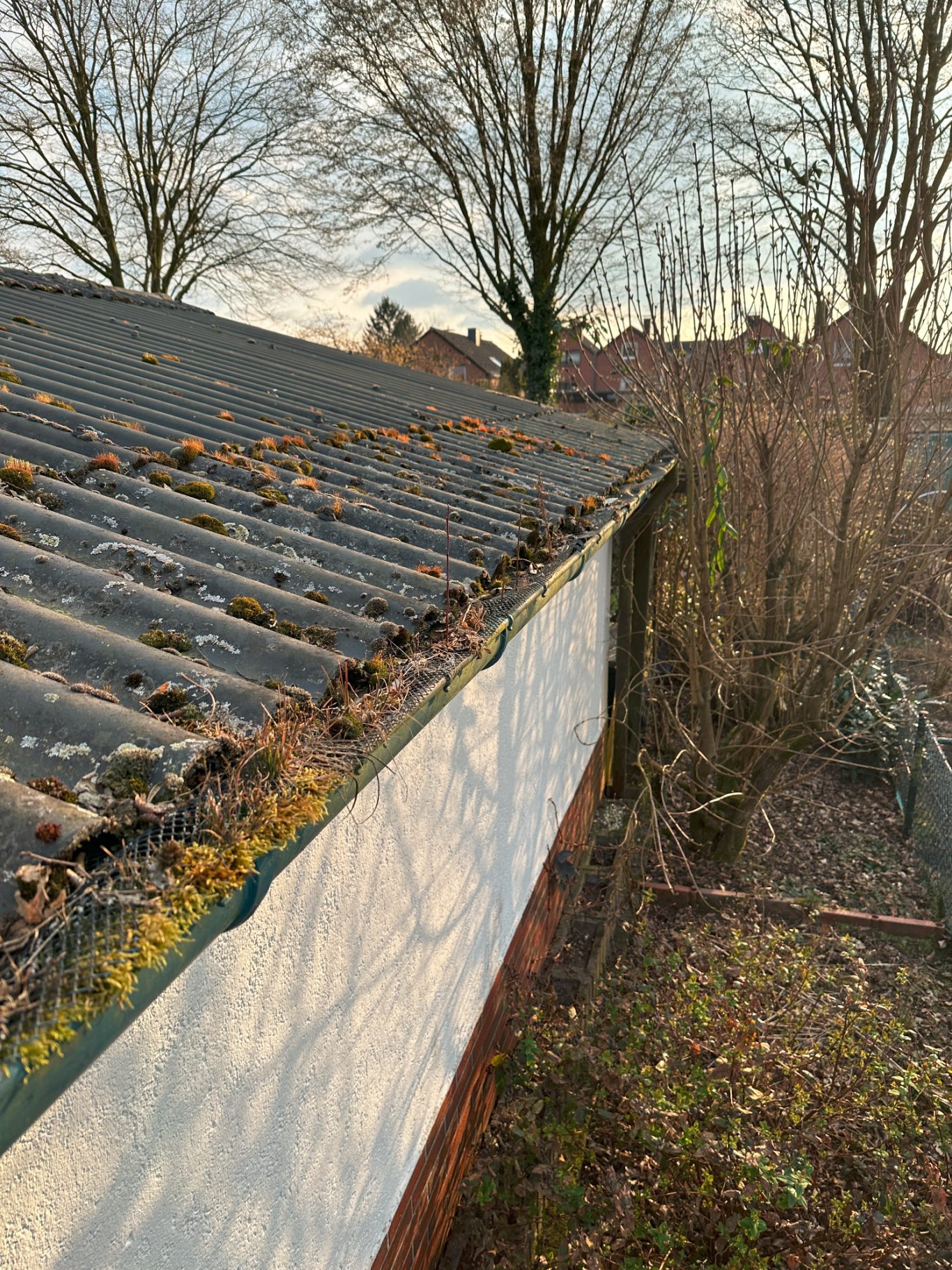 Vorher Bild dreckige Dachrinne Dach mit Moos und Blättern, umgeben von Bäumen und einem klaren Himmel.