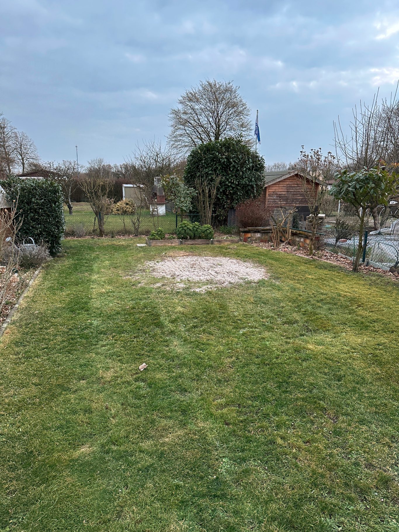 Aufgeräumter Garten nach unserer Dienstleistung Leerer Gartenbereich mit Rasen, Baumbewuchs und bewölktem Himmel im Hintergrund.